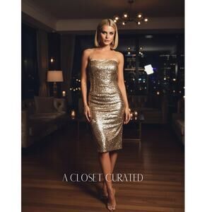 Misha Collection Aurelie Sequin Dress 6 Gold NWT